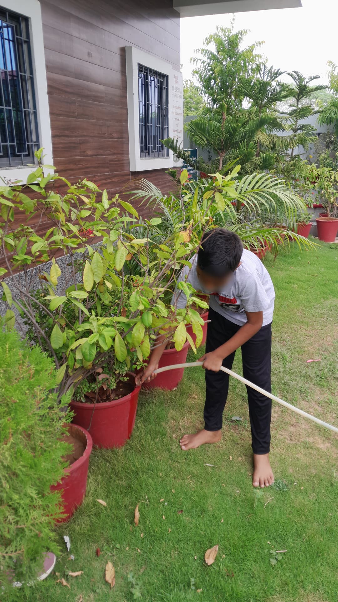 Garden